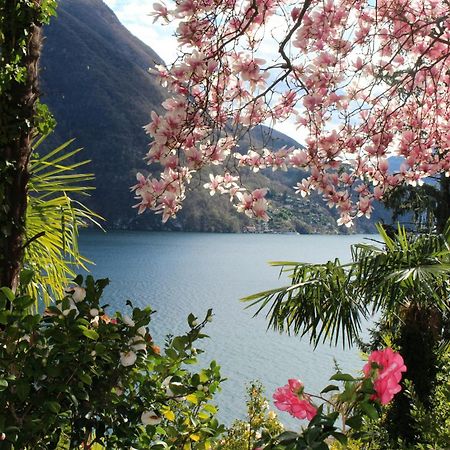 Barony Olive 2 Personen Mit Hund Apartment Lugano Exterior photo